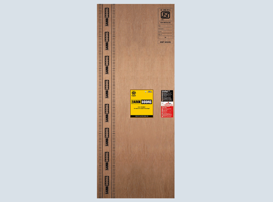 Sainik Flush Door - Metior